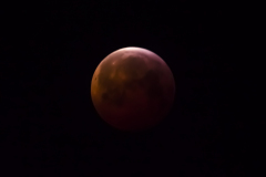 Monfinsternis-7