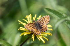 G905530-Bearbeitet