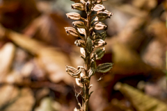 G905759-Bearbeitet