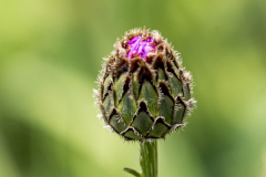 G906486-Bearbeitet