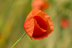 G906915-Bearbeitet