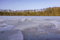 Eis