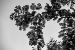 G903254