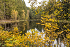 Bärenteich