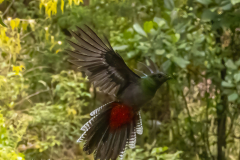 G906470-standard-scale-4_00x-gigapixel-2-2