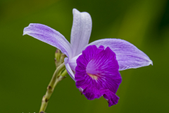 G902818-2