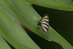G902867-2