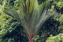G902937