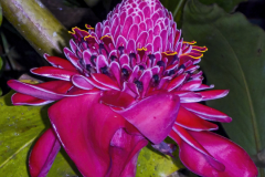 P1020186