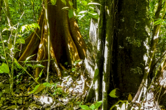P1020217
