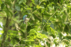 2017-02-Costa_Rica-514