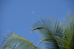 G903825