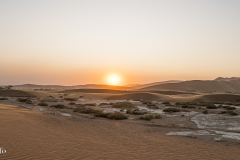 G5_3214