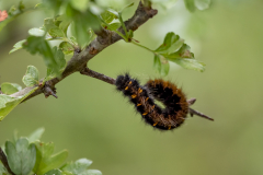unbekannt-2-Deutschland
