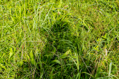 G5_4449