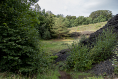 G5_4454