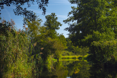 G5_5195