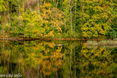 G5_6407