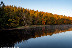 G5_6530