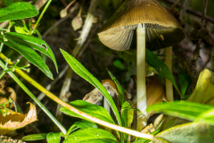 G5_6432-Verbessert-RR