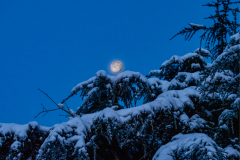 G5_7400-Bearbeitet-Bearbeitet