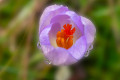 G5_8638-Bearbeitet