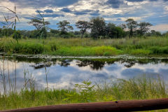 20240401_161315-Bearbeitet