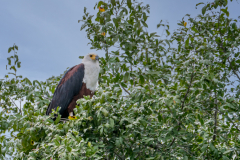 1_G902628-Bearbeitet