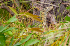 1_G902905-Bearbeitet