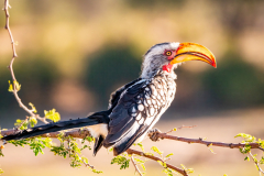 1_G904461-Bearbeitet