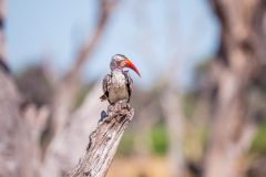 G904461-Bearbeitet-2