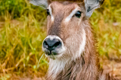 G903481-Bearbeitet-2