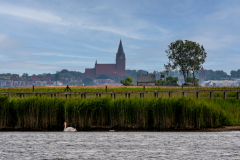G9A7296-Bearbeitet
