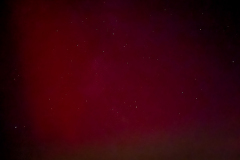 IMG_1829-Bearbeitet-lowlight