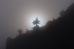 1_G5B2046-Bearbeitet