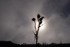 G5B2197-Bearbeitet-Bearbeitet