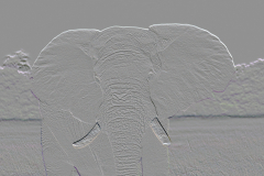 Elephant Relief