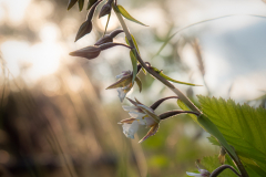 G5B8501-Bearbeitet-Bearbeitet