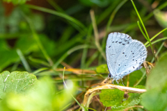 G9_0473-Bearbeitet