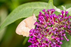 G9_0833-Bearbeitet
