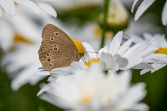 G9_1048-Bearbeitet