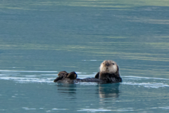 G9_4805-Bearbeitet