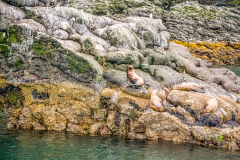 G9_2414-Bearbeitet