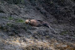 G9_3222-Bearbeitet