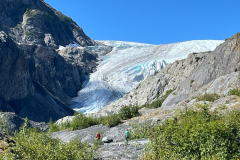 Exit-Glacier-1