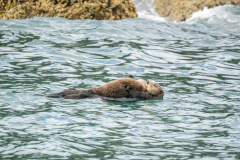 G9_3979-Bearbeitet
