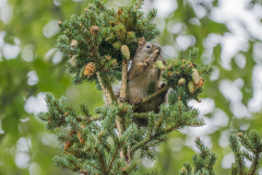 G9_4249-Bearbeitet
