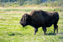 G9_5452-Bearbeitet