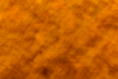 G9_5508