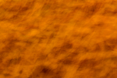 G9_5509